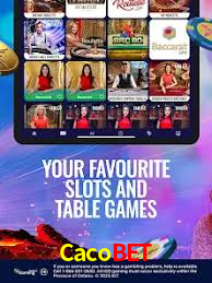 Experiência VIP Cacobet