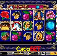 Game Statistics Cacobet