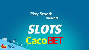 Premium Interface Cacobet