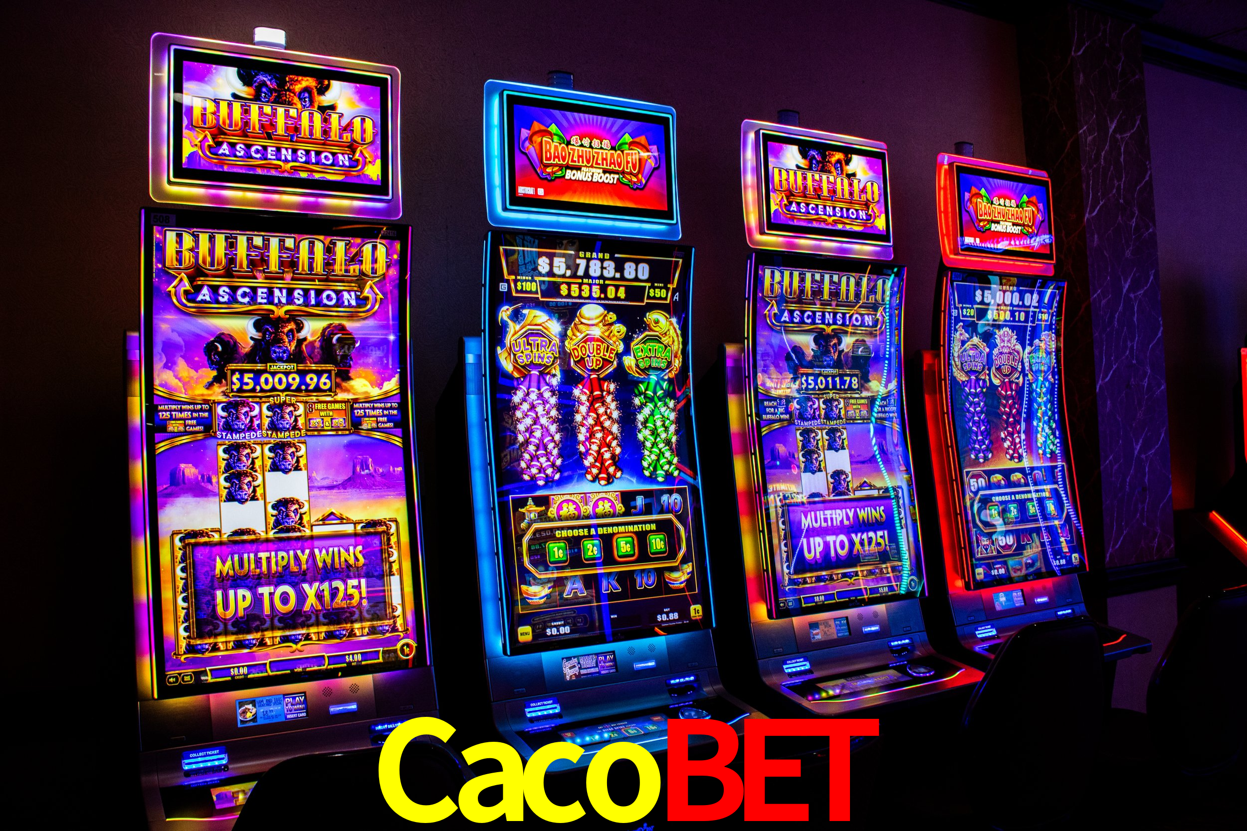 Game Statistics Cacobet