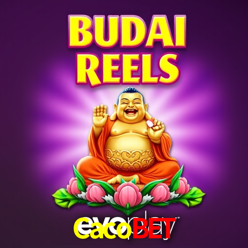 A Experiência Imersiva dos Cassinos Ao Vivo no Cacobet