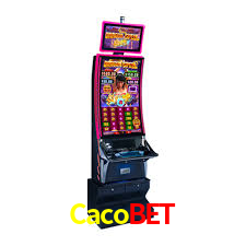 Live Casino Cacobet